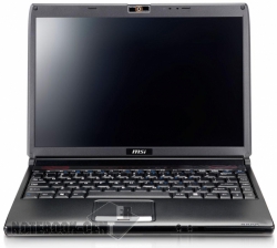 MSI EX300 