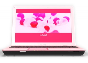 Sony VAIO VGN-C2SR/P 