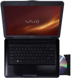 Sony VAIO VGN-CS290JEQ 