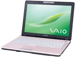 Sony VAIO VGN-FJ290P1/G