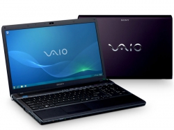 Sony VAIO VPC-F13S1R/B