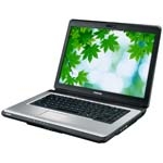 Toshiba Satellite  L300-110